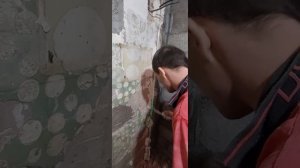 установка маяков по лазерному уровню под штукатурку