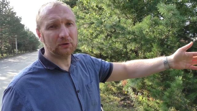 Как обустраивают котеджный поселок