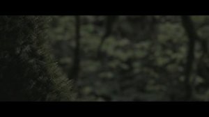 PHARAOH - КЛЮКВА (PROD. BY LAOLVIEZEE)