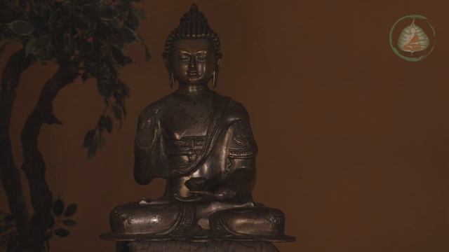 4 защитные медитации. Направленные медитации, часть 5 _ Студия Бодхи.mp4