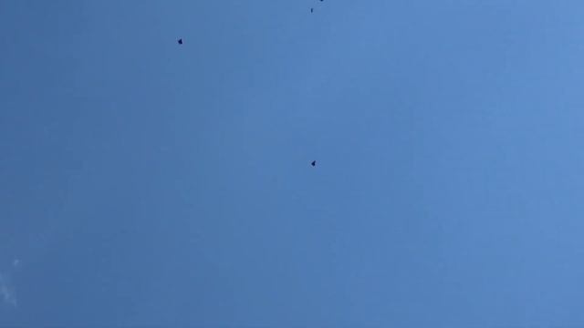 Серпастые голуби! 26.04.23г. смотреть онлайн