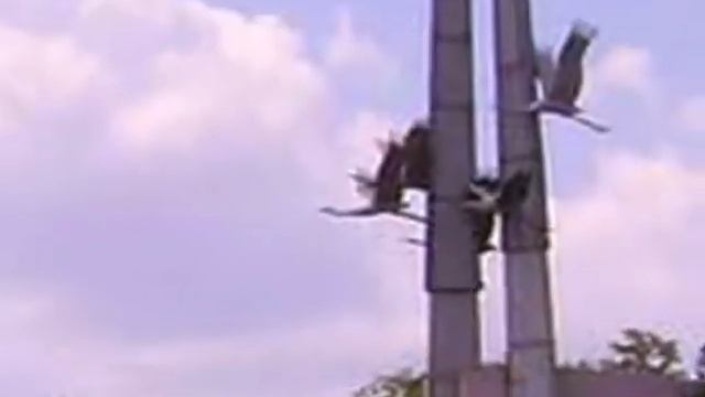 Слет Сибиховодов 2007г. - Воронеж