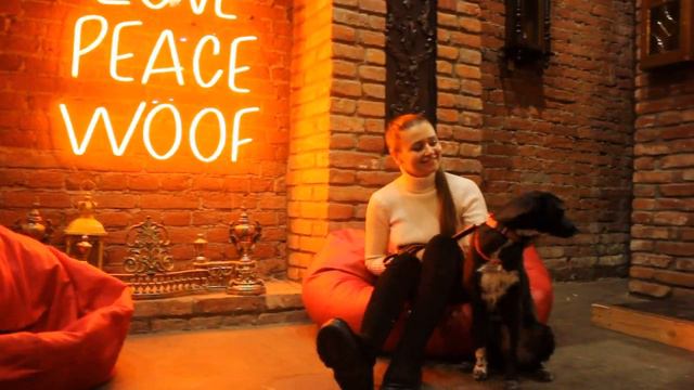 WoofFestKrasnodar #wooffest смотреть онлайн