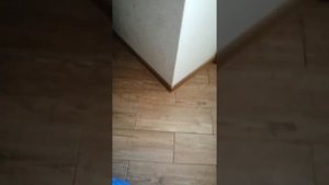 Парогенератор для НБК как АВТОМАТ Калашникова