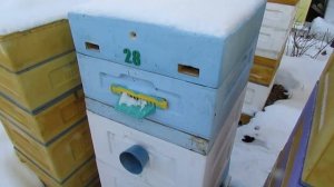 контроль зимовки температуры и влажности, в зимующей семье пчел - ошибки при установке датчиков