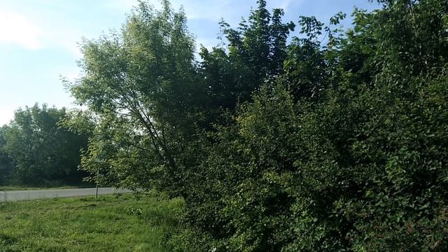 13 июня-день Еремея.Что нельзя делать.Народные приметы