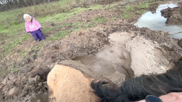 Очередное спасение нашей Башкирской лошади/ Разведение лошадей как бизнес/ Башкирская порода лошаде смотреть онлайн