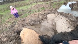 Очередное спасение нашей Башкирской лошади/ Разведение лошадей как бизнес/ Башкирская порода лошаде