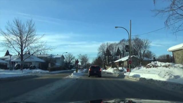 Канада 1242: Может ли студент привезти в Канаду внезапную любовь всей жизни. смотреть онлайн