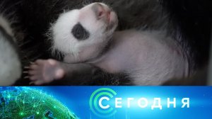 «Сегодня»: 24 сентября 2023 года. 16:00 | Выпуск новостей | Новости НТВ