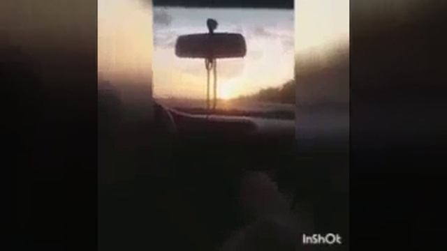 История принцессы