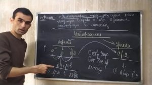 Физиология человека. 52 тема. Лейкоцитарная формула. Сдвиг право и лево. Изменения л/ф в онтогенезе