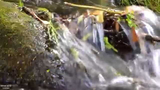 ТОТ СВЕТ."После того,как перестанет существовать этот мир…" Лекции по Исламу (toislam.ws) Урок 9/12 смотреть онлайн