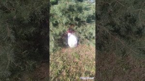 Завернули на жуткое озеро в Тверской области