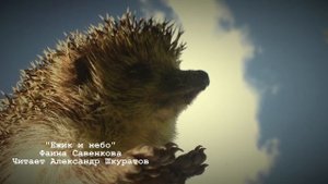 Фаина Савенкова ''Ежик и небо''. 
Читает Александр Шкуратов.