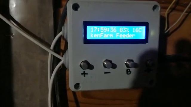 Видео-отзыв о автоматической кормушке для кур. смотреть онлайн