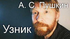 А. С. Пушкин. Узник. Сижу за решеткой в темнице сырой... читает актер Борис Драгилёв