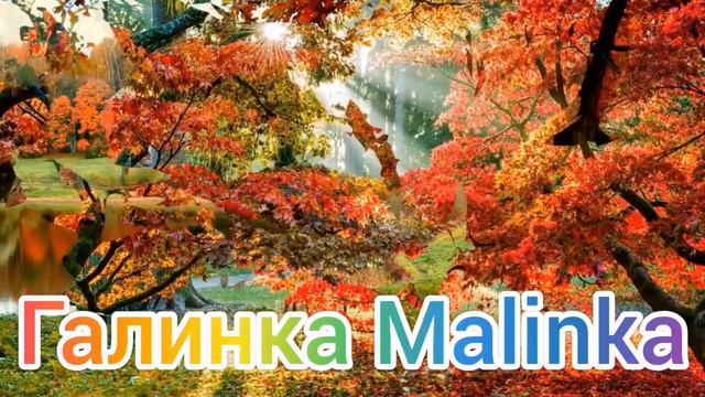 Ольга Уралочка live /Мама родная /Дурдом на выгуле /Обзор Влогов /Уралочка и Сафар /