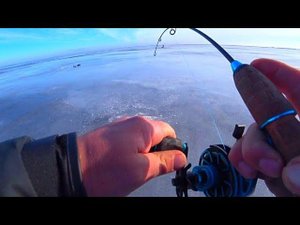 СУДАК СНОВА В ДЕЛЕ! МАТУШКА ВОЛГА РАДУЕТ РЫБАЛКА НА СУДАКА