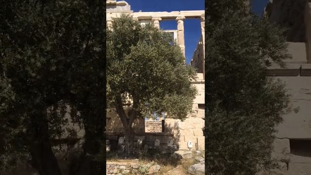 Erechtheion, Эрехтейон