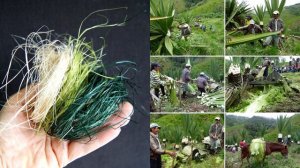 §44 "Северная Америка: путешествие" (1), География 7 класс, Полярная звезда