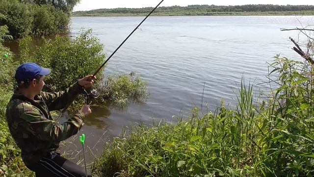 Рыбачили на ОКЕ и к нам ПРИПРЫГАЛ НЕЖДАННЫЙ ГОСТЬ! Напоили и отпустили. смотреть онлайн