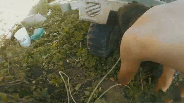 корчуем куст квадроциклом смотреть онлайн