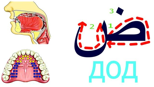 Арабский язык. Урок 4. Произношение и написание арабских букв. смотреть онлайн