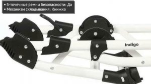 Коляска Indigo Special (2 в 1, 3 в 1)
