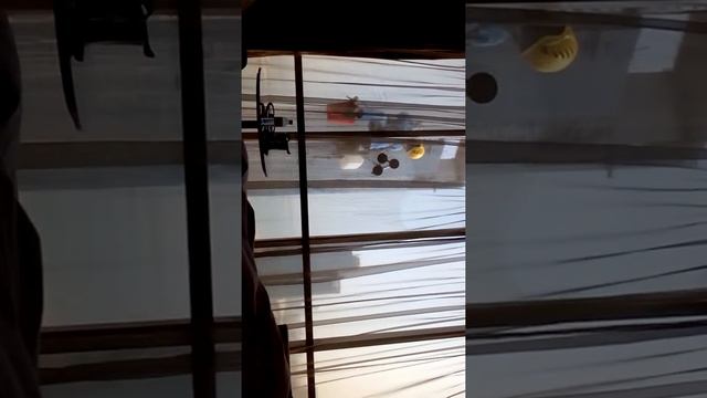 Вот как моют окна в небоскребах смотреть онлайн