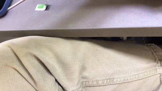 Рация Моторола смотреть онлайн