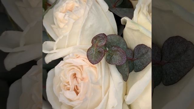 Скарлетт О'Хара смотреть онлайн