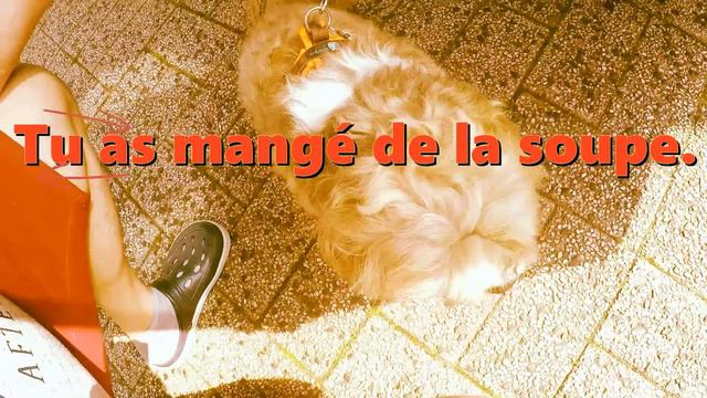 Как задать вопрос по-французски смотреть онлайн