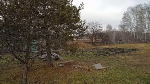 Будет ли зима в Сибири? Конец ноября, снег растаял, трава зеленеет.