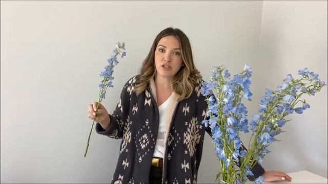 Delphinium 101: Sheds Like a Husky, but Lovely! смотреть онлайн