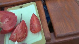 Томат "Воловье сердце". Первый помидор 2019г.