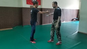 2020 Systema Ryabko. Basic principles. Part 1