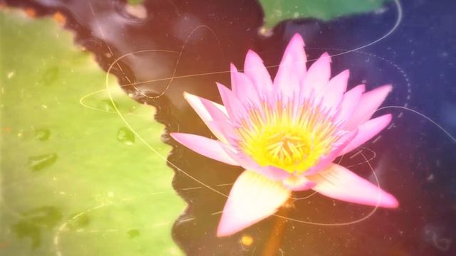 КУДА ПОЕХАТЬ ОТДОХНУТЬ | КИТАЙ, О.ХАЙНАНЬ | «ВОСТОЧНЫЕ ГАВАЙИ» | КАК ОТДОХНУТЬ ДЕШЕВО? смотреть онлайн