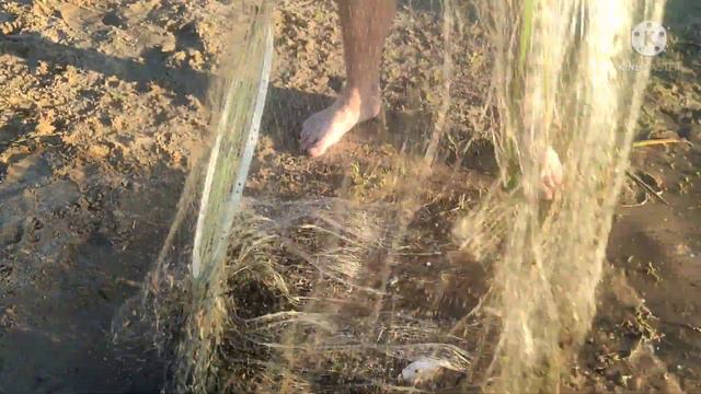 Рыбалка кастинговой сетью. Одного леща пришлось отпускать дважды... 🤣🤣🤣 смотреть онлайн