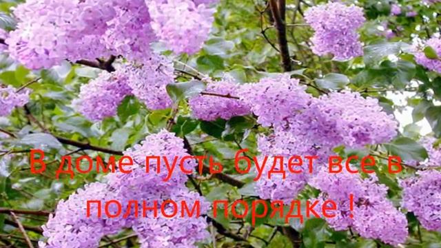 Поздравление с 55-летним юбилеем смотреть онлайн