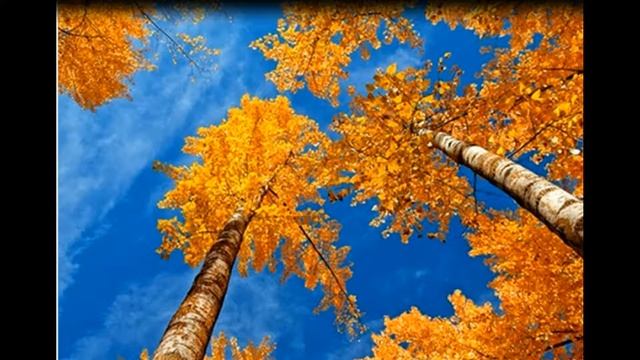 меланхолия осень смотреть онлайн