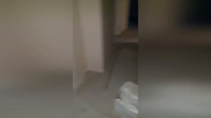 ЖК Южная Битца. 2-комнатная квартира 59,8 кв. м. в 1-3 корпусах. Отделка "Молоко".