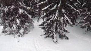Легкая и спокойная музыка для снятия стресса.