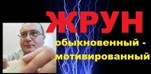 жрун обыкновенный мотивированный