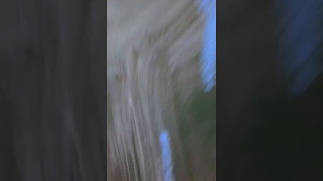 (Исполнитель )МОТ (песня ) СОЛО смотреть онлайн