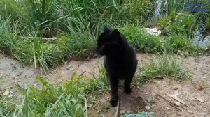 Рыбалка как игра.Бесплатный Рупасовский пруд.