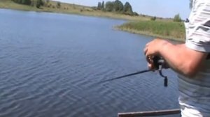 несеметричная петля - Рыбалка в Дорохово