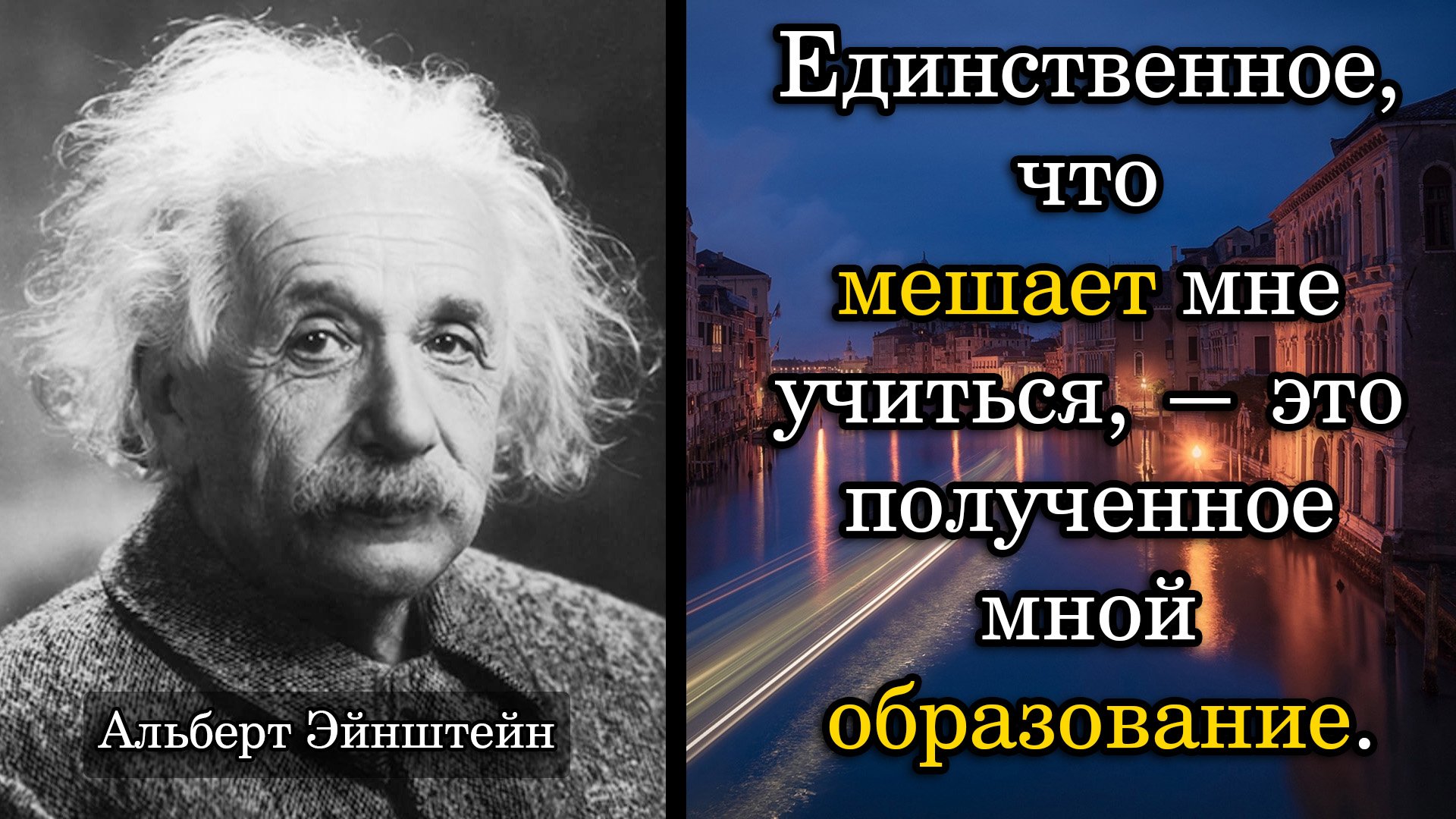 Альберт Эйнштейн. Единственное, что мешает мне учиться, — это полученное мной образование.