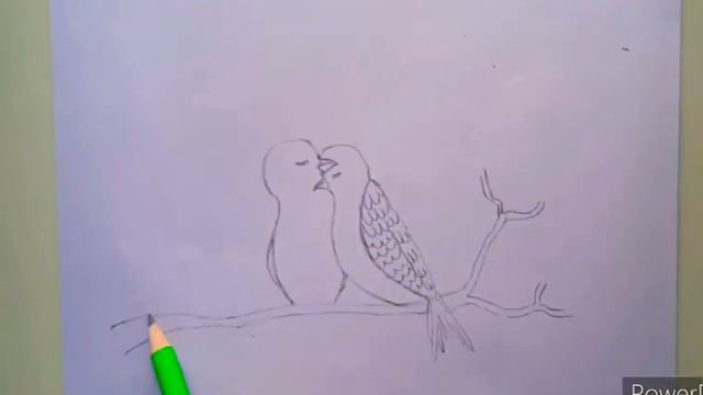 Drawing of two love birds | sketch of two birds | easy drawing for beginners step by step смотреть онлайн