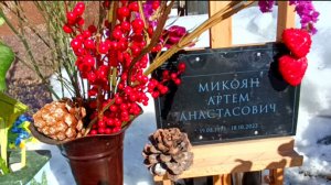 Его убuл единоутробный брат. Могила сына Стаса Намина. Новодевичье кладбище.